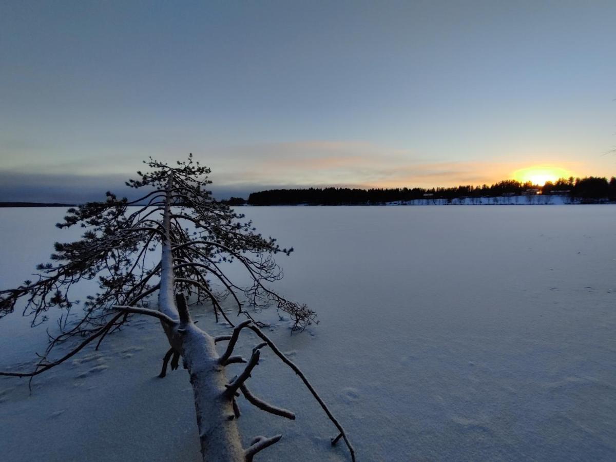 Villa Sirius Sieri, Nice Log-Cottage By The Lake Rovaniemi Exterior foto